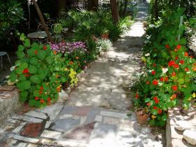 photo coins arrondis